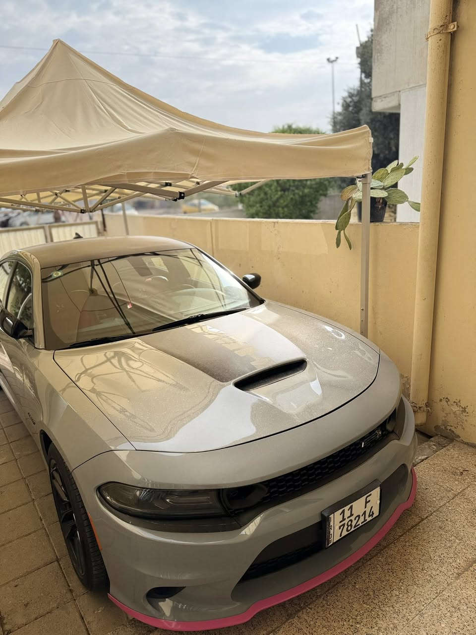 ‏Dodge Charger RT :للبيع -
2022 - بلاك توب سوبر تراك لون سموك مميز✅

استخدام شخصي، وكلشي ما مفتوح بيها وع الفحص *

• الممشى: 30 مايل فقط

• الصبغ: جاملغ وبنيد - بدون

• تحويل: رقم بغداد سنويه ب أسمي

تحويل ثاني يوم

+ المواصفات:

• دخول ذكي بصمات ابواب وصندوق

• ⁠كشن كهرباء

• ⁠تبريد قطعتين وبصمه وكامرا 

• ⁠شاشة 20 إنش الكبيره  كار بلي 📳

‏    •سستم صوت Alpine•

   ويل هلكات من امريكا😈

• تحكم ستيرنك جهتين

• تحديد مسار + كروز كونترول

• شفتات ستيرنك 🏎️🏁

• وضعيات قيادة: سوبر تراك + سبورت

• مراية وسطية عاكسة

• مرايات جانبية هيتر

• داخلية كنتارا أحمر + جلد

• حساسات خلفية

السيارة ستوك كير ومكينه وكلشي بيها على وضع

الشركه بدون اي برمجة او

استعراض او تعديل او اضافات

•بياع شراي لتخابرني جناي تشلع عيوني 
السعر اكتب رقم 1 يجيك خاص

للاستفسار 📞☎️ ***********
