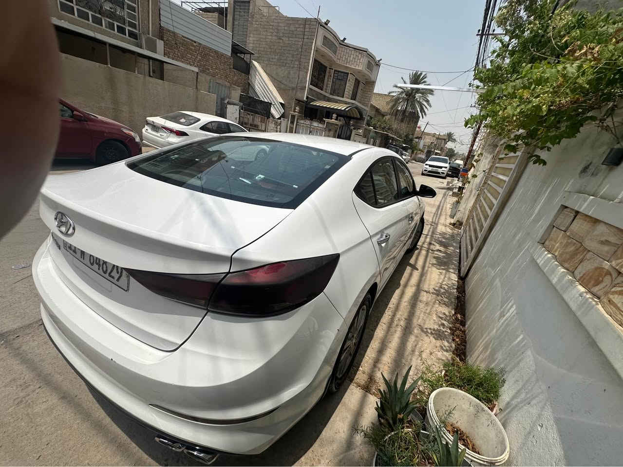 النترا 17 خليجي فول 
السعر 138ورقه 
*********** بغداد, العراق
