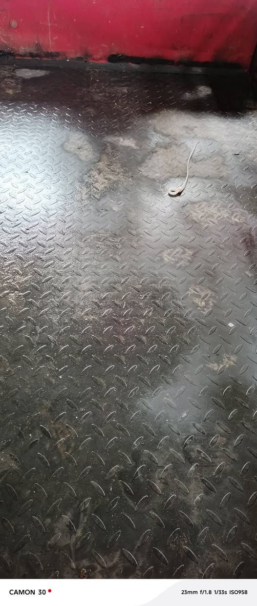 تفاصيل بل صوره بيع مستعجل


**إذا كنت صاحب هذا الإعلان وتريد حذفه لأي سبب، رجاءا أرسل رسالة إلى الدعم الفني**