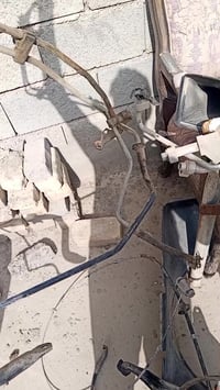 بصرة • غراض الفينية • تفصيخ