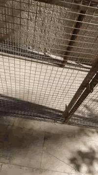 قفص حديد للبيع  غير متواجد على الفيس  ٠٧٧٠٦٠٥٩٣٩٥