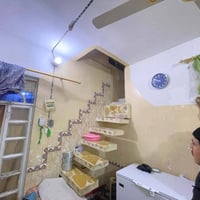 بلطبكه • ١٠٠م • طابو