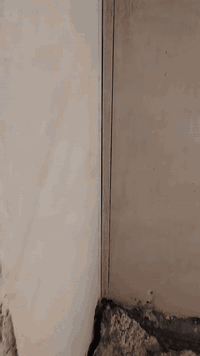 كادر لحام • متفرغ • النجف