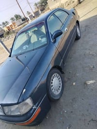 بطه • رقم بصره • مصبوغة جمالياً