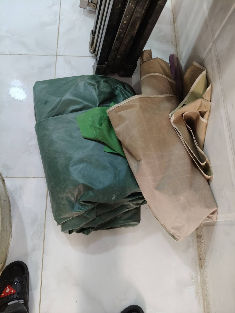 سلام عليكم عندي هذني شمسيات عنكبوتيه جدد والله 
العنوان بغداد ***********
