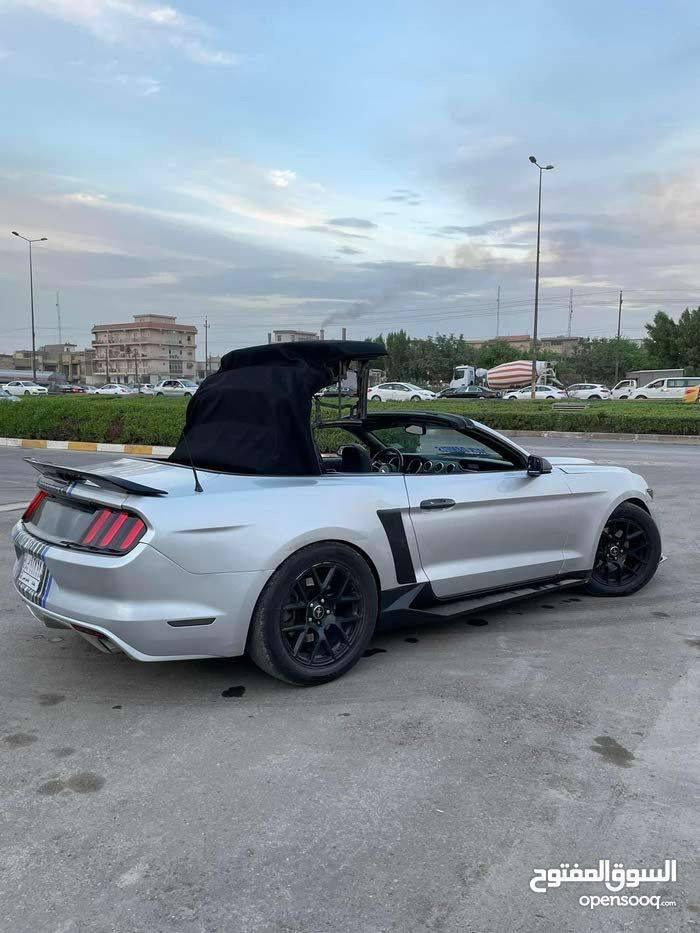 مكلف بالنشر السلام عليكم 
موستنك 2016 كشف 6سلندر مصبوغه حزام رقم بغداد للاستفسار الاتصال على الرقم فقط ***********
