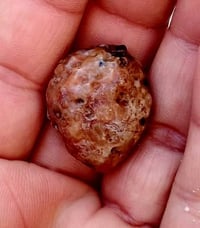 حجر قديم • نجف • صور من جهتين