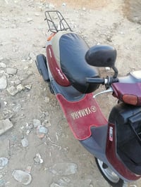 بابل مسيب • دراجة منغولي • سلف وهاندل