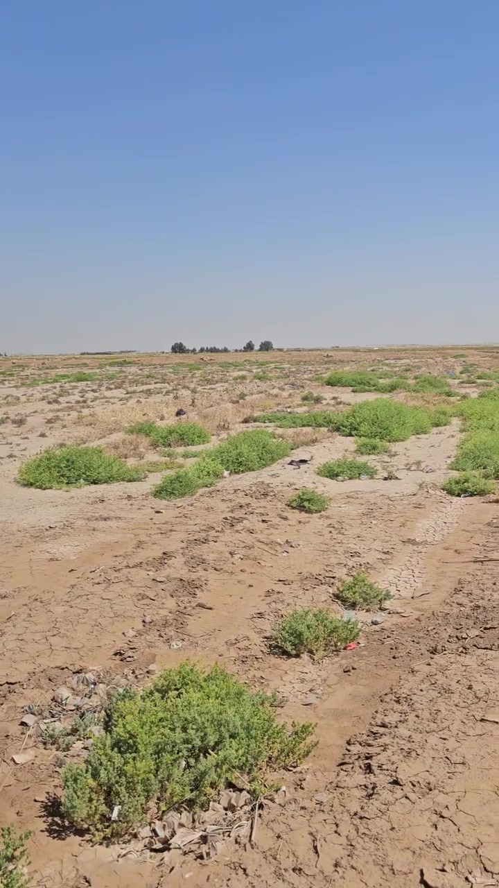 السلام عليكم دونم ونص للبيع على شارع العام قرب المغتسل الخيري متوفر ماء وكهرباء 
صالحه لعددة مشاريع مطعم سياحي وغيرها

اخوان سندها ضايع اتكفل بيها فقط من العشائر اسوي مكاتبه رسميه 

سعرها 40مليون وبيها مجال


**إذا كنت صاحب هذا الإعلان وتريد حذفه لأي سبب، رجاءا أرسل رسالة إلى الدعم الفني**