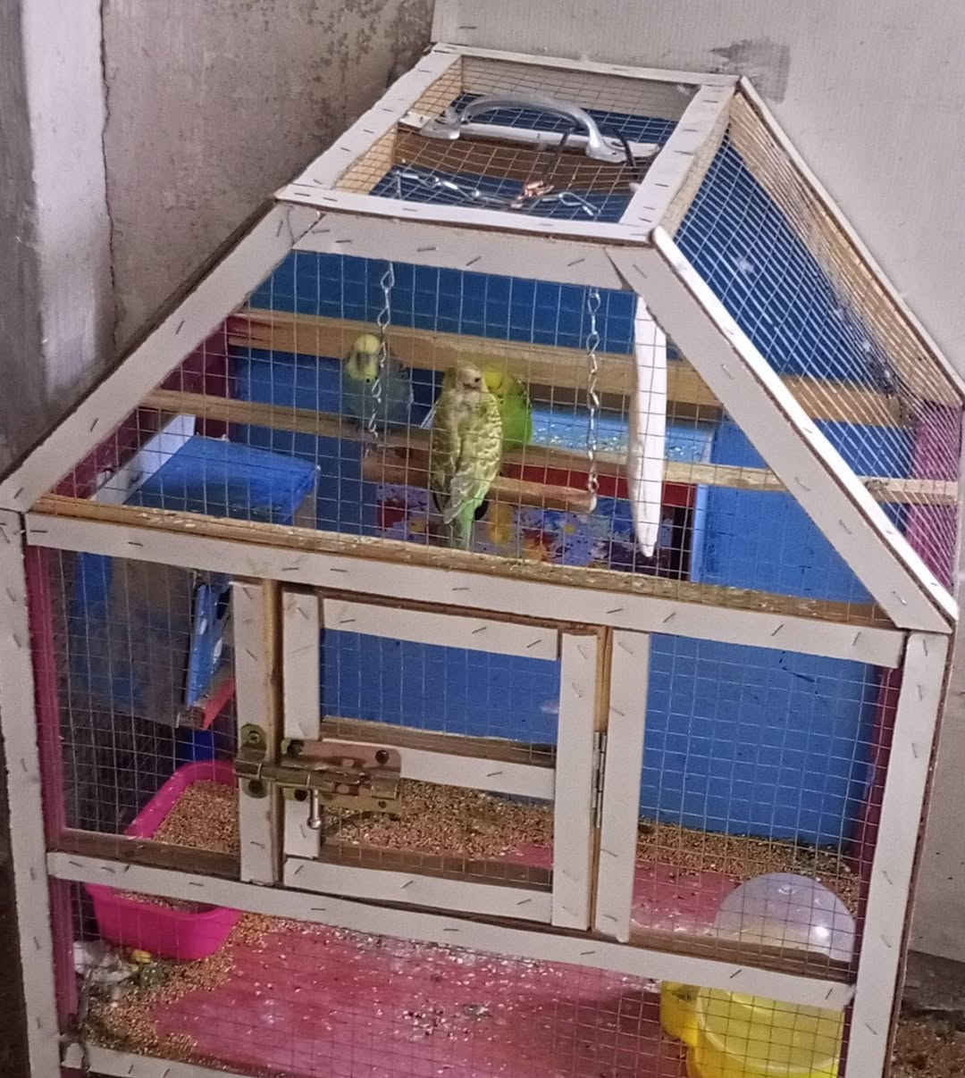 السلام عليكم
للبيع 4 طيور من نوع بادجي (Budgerigar) بصحة ممتازة ونشيطة 🌿
ألوان جميلة ومرباية داخل قفص نظيف وتاكل طبيعي.
مناسبة للتربية والإنتاج.
العدد: 4
الموقع: بغداد حي الجهاد 
السعر 65


**إذا كنت صاحب هذا الإعلان وتريد حذفه لأي سبب، رجاءا أرسل رسالة إلى الدعم الفني**