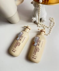 شامبو وبلسم ساكورا • يوقف التساقط • لمعان وترطيب