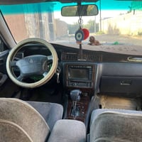 راس الثور تكم فحل للبيع مكفول من الصبغ والضربه والأصوليات الرقم 078103...