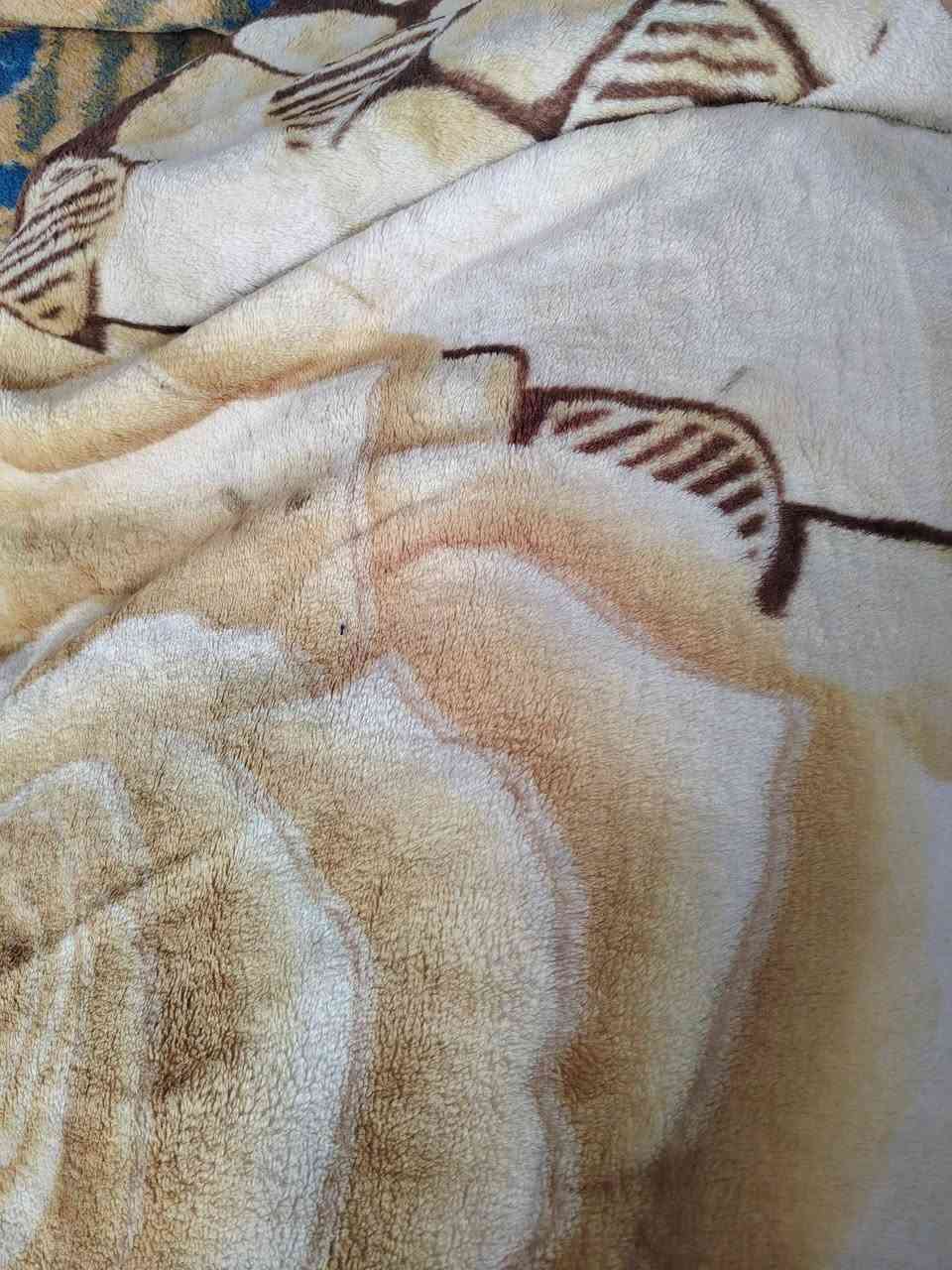 بطانيات وجودلات نضافه 90بلميه السعر خمسه الف


**إذا كنت صاحب هذا الإعلان وتريد حذفه لأي سبب، رجاءا أرسل رسالة إلى الدعم الفني**