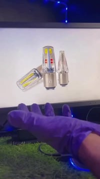 زنون ابيض • زنون برتقالي • ضمان سنة