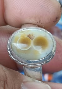 سليماني • اركيلة • للبيع