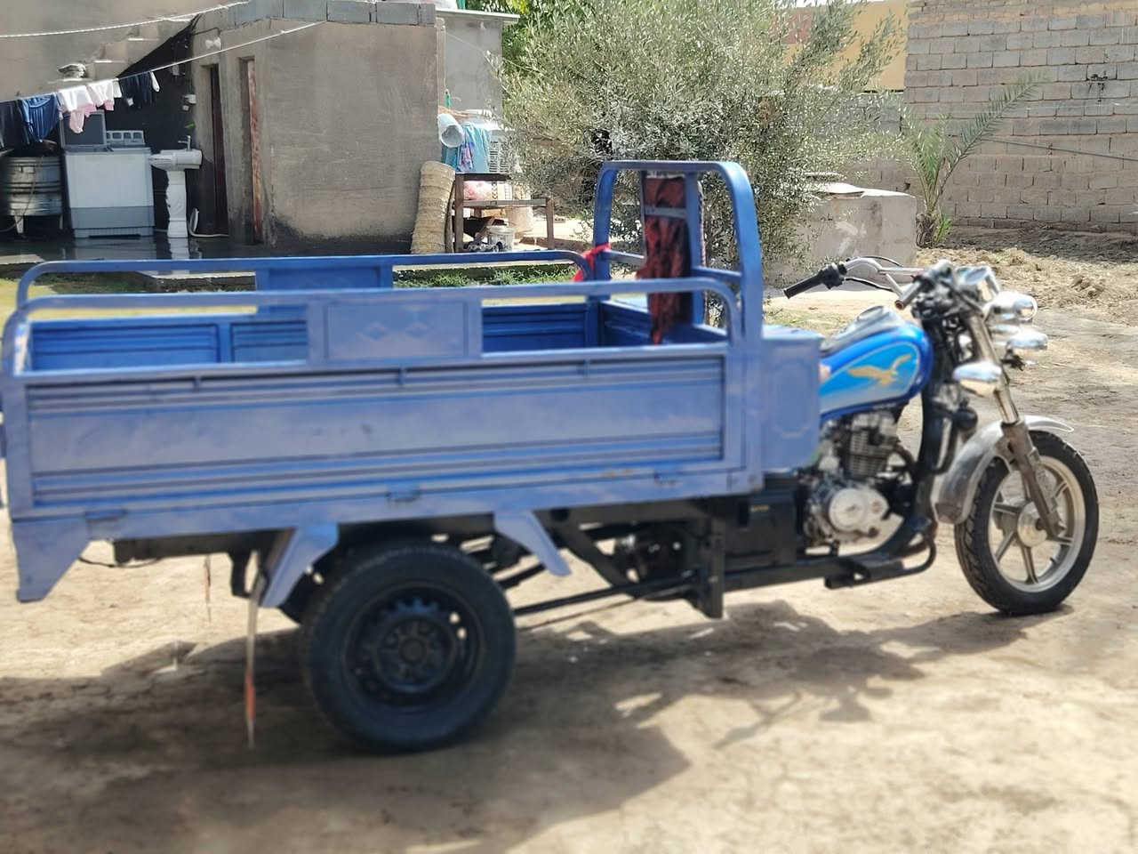 سلام عليكم ستوته 2015 وراق مكفوله كفاله عامه *********** رقم رعيه اني مكلف بل نشر
