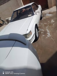 شيزر • كفالة نقل • رقم واسط