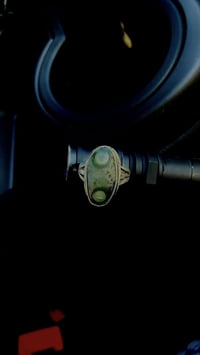 سليماني • زيتوني • داوودي اسود