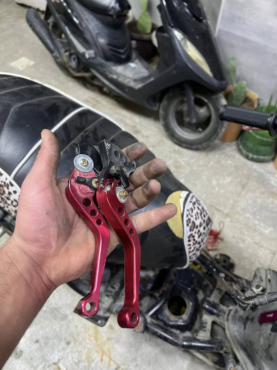 مال سكنس للبيع او مراوس فشي مرتب


**إذا كنت صاحب هذا الإعلان وتريد حذفه لأي سبب، رجاءا أرسل رسالة إلى الدعم الفني**