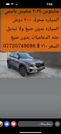 سيلتوس • ٢٠٢٤ • كربلاء