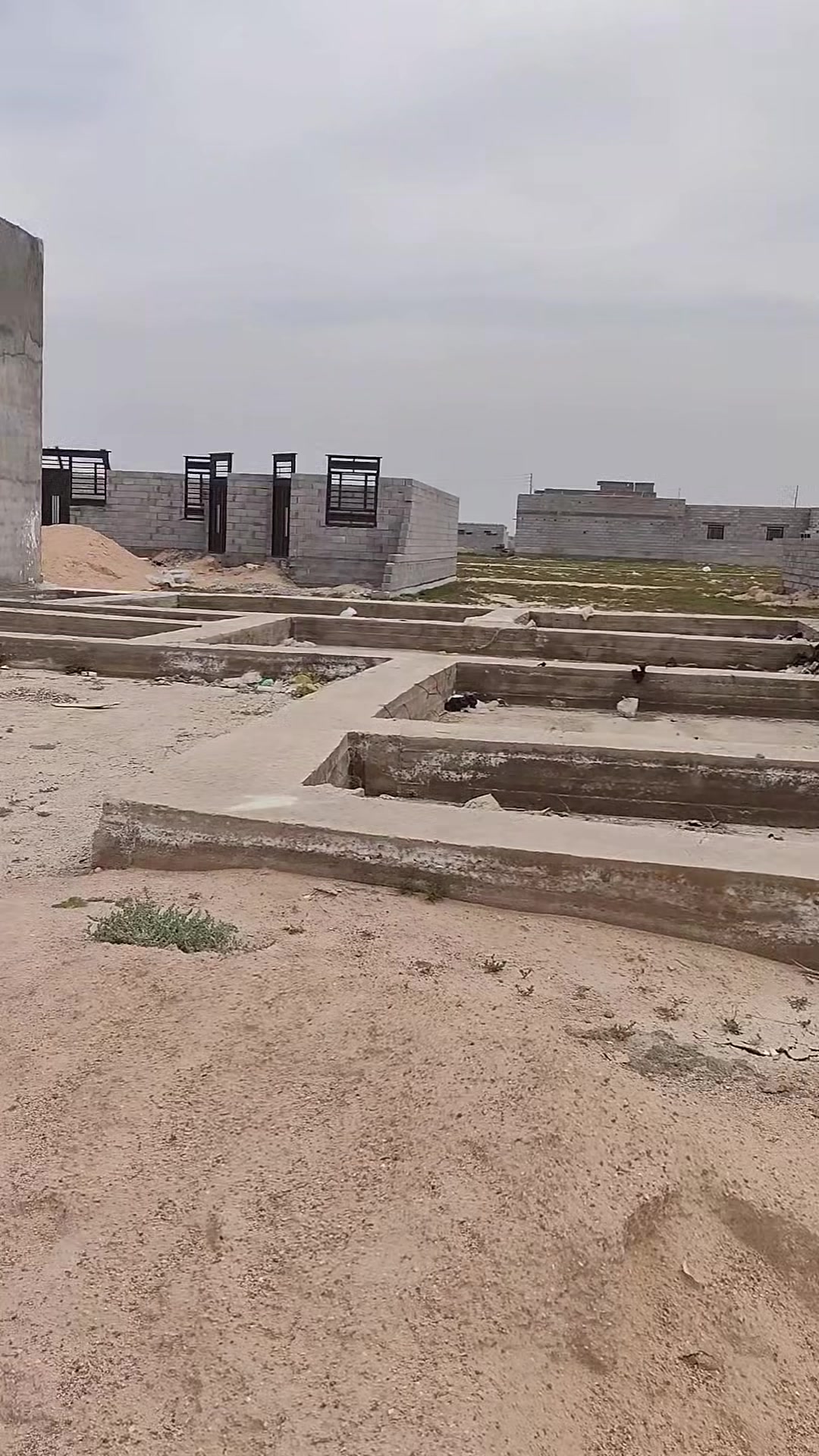 قطعه زراعي للبيع بيه بتلو ارضي خلف علي شداد فارس شارع النرجس مساحه 260 متر  ***********
