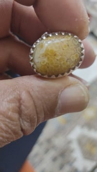 سليماني • اصفر • عتيج ما مجروخ