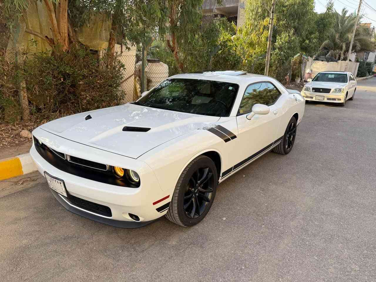 دوج جالنجر موديل 2019 رقم بغداد تحويل مباشر محرك 6سلندر شاشه كبيره كامره فتحه سقف  داخل جلد عمل وباقي مواصفات اعتياديه عداد مسافه 64الف سياره داخل تقرير بدون أي أضرار او صبغ او ضربه تقريبا صار4سنوات استخدمه بدون أي مشاكل او أضرار سياره موجوده محافظه ذي قار شموخ سعر 183للتواصل
*********** ناصرية, ذي قار
