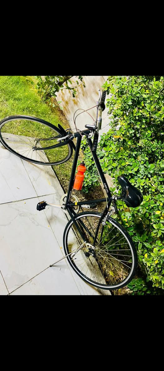 السلام وعليكم
بايسكل للبيع(c700) 

السعر:125وبي مجال

الرقم:***********
