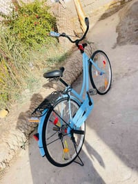 باسكل • ياباني • عليه مجال