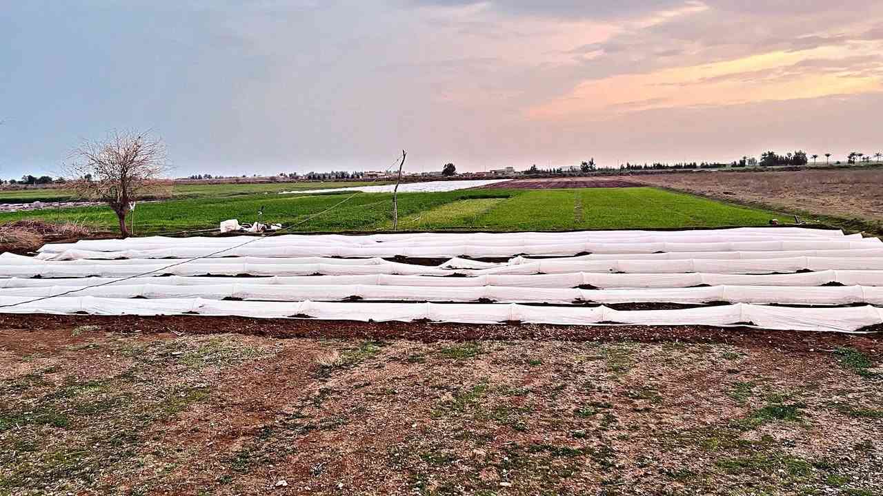 ارض زراعيه للبيع المساحه 7ونص واصل كهرباء وماء السكن صلاح الدين قضاء الدجيل ١١جلوديات قرب جامع الامام علي للاستفسار الاتصال ع الأرقام ***********
***********
