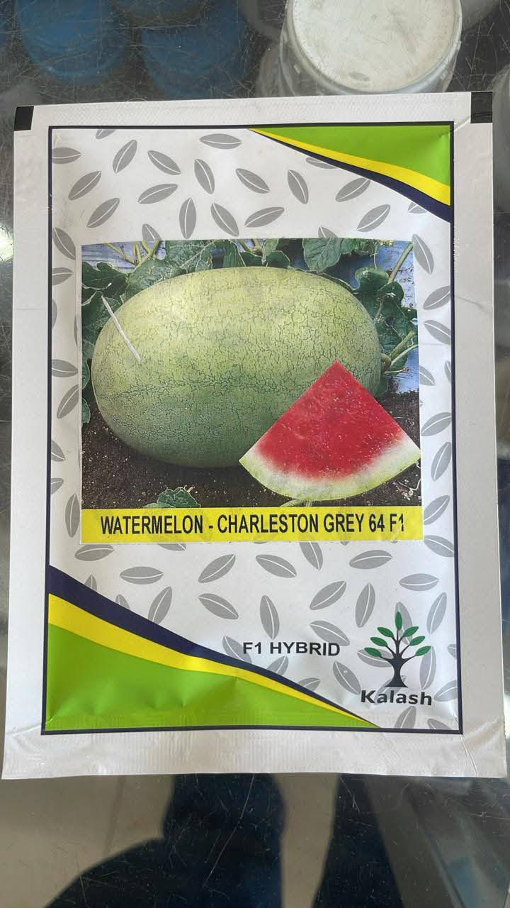 🍉 عرض خاص: بذور رقي (بطيخ) كرمسون سويت F1 الهجين 🍉
​لكل أصحاب المزارع والحدائق المنزلية الباحثين عن الإنتاج الغزير والجودة العالية، نقدم لكم بذور Watermelon - Crimson Sweet 46 F1 من ماركة Kalash المعروفة.
​✨ لماذا تختار هذه البذور؟
​هجين F1 ممتاز: يتميز بنمو سريع ومقاومة عالية للأمراض.
​إنتاج رائع: ثمار ذات حلاوة عالية، ولون أحمر زاهي، وحجم مثالي للتسويق.
​حيوية مضمونة: تاريخ الإنتاج  (صلاحية لمدة سنة كاملة).
​📝 تفاصيل العرض: شرط الانبات 
​الكمية: المغلف يحتوي على 1000 حبة.
​السعر: 15 ألف دينار فقط (السعر يشمل خدمة التوصيل).
​ملاحظة: الكمية متوفرة بشكل محدود جداً.
​🎁 عرض  خاص لأصحاب الجملة:
​يوجد خصم خاص ومميز عند طلب كميات الجملة.
​🚚 خدمة التوصيل متوفرة لضمان وصول المنتج لباب بيتك أو مزرعتك.
​📞 للحجز أو الاستفسار:
يرجى مراسلة الصفحة أو الاتصال على الرقم:‏‪***********‬‏
