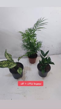 عروض العيد • توصيل كركوك • عروض مستمرة