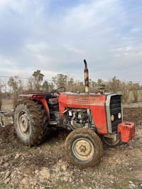 فەرگەسۆن بەرازیلی بۆ فرۆشتن هەموو گیانی بەشەرت ژ.م ٠٧٥٠٣٤٠٠٧٨٦