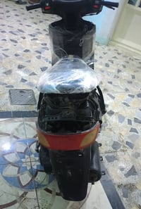 فراشة • النجف