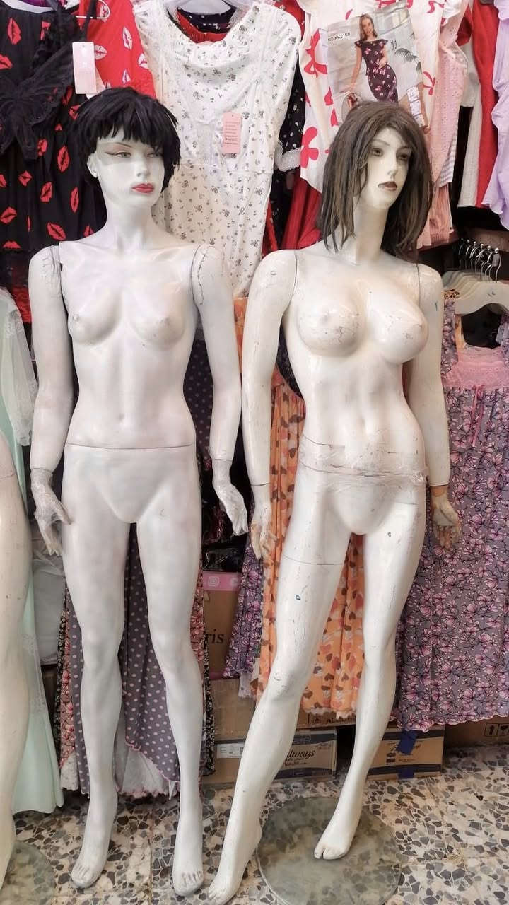 عندي ٦ مانيكان هاي كدامكم بدون فلتر ولا شي
اكو ٣ بيهن قاعدة جام دائرية واكو بدون 
عظم عاج ثقيل مو بلاستك خفيف اخذت الوحدة بورقة وهسه الوحدة ب٥٠ اريدها وفقط يرادلهن صبغ ومكياج ترجع جدد
اخوان ابيعهن شلع مكاني بغداد الدورة ***********
