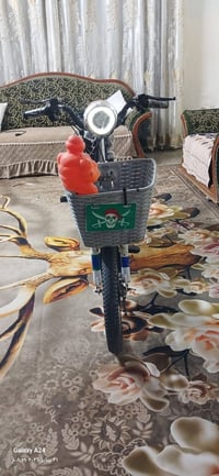 دراجة شحن • 4 بطاريات • موديل 2022