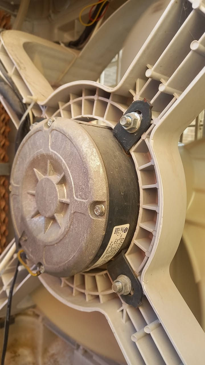 السلام عليكم مبرده للبيع الحجم الكبير شرط الشغل كلش نظيفه السعر ١٤٠ سوق الشيوخ


**إذا كنت صاحب هذا الإعلان وتريد حذفه لأي سبب، رجاءا أرسل رسالة إلى الدعم الفني**