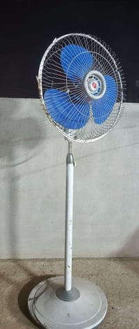 بانكة • شغالة • طول ١٨٠سم