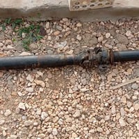 كاردان • رأس الثور الملكة • بابل