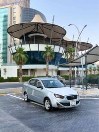 فاو • اوتوماتيك • ٢٠١٣