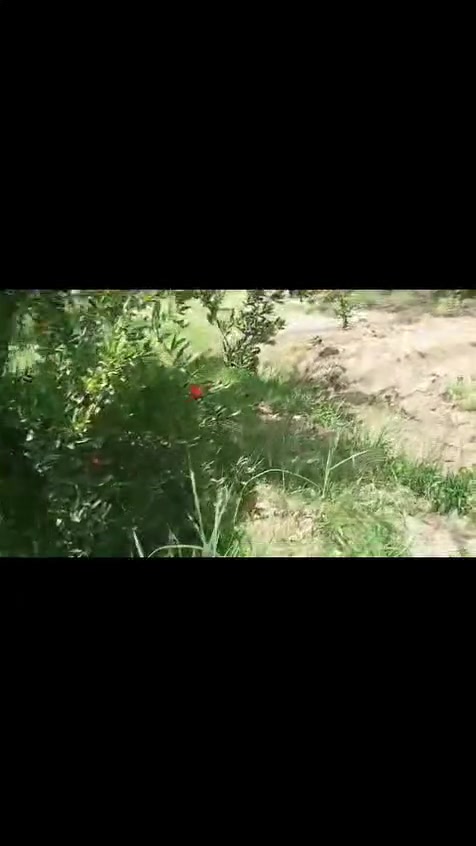 موقع ممتاز جدا


**إذا كنت صاحب هذا الإعلان وتريد حذفه لأي سبب، رجاءا أرسل رسالة إلى الدعم الفني**
