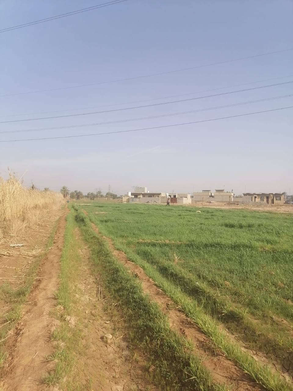 السلام عليكم 8 دونم  زراعيه عقد 17 وبيتين تقاطع النهران مقابيل اسواق القمه ***********
