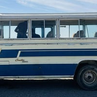 كوستر • ١٩٨١ • رقم نينوى