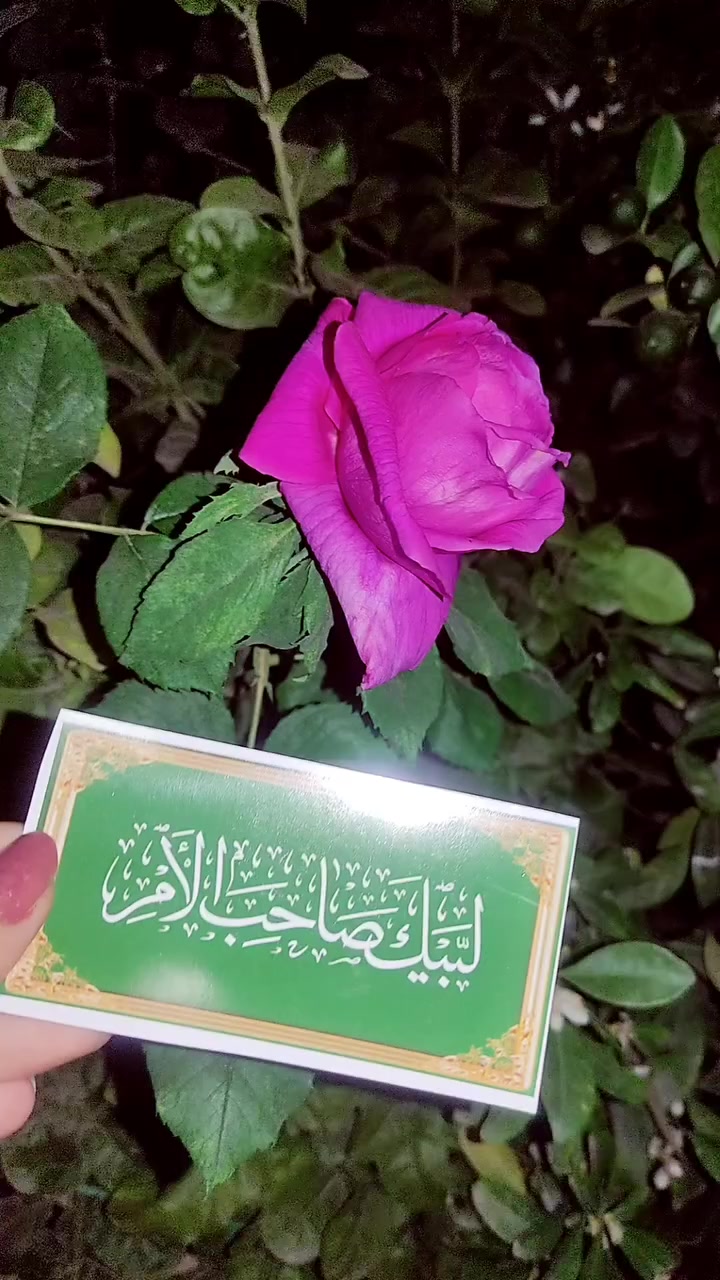 متوفر رأيات


**إذا كنت صاحب هذا الإعلان وتريد حذفه لأي سبب، رجاءا أرسل رسالة إلى الدعم الفني**