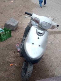 بطة • أوراق • شغالة