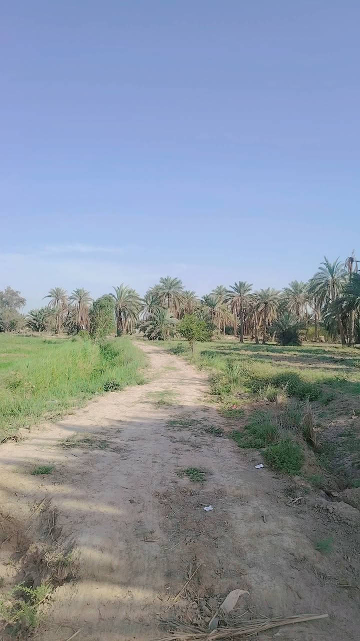 سلام عليكم بستان للبيع خمس دوانم طابو زراعي سند 25 متوفر كافت الخدمات ماء سقي كهرباء تبليط مدرسه موقع البستان القاسم شارع الطابو يبعد عن شارع رئيسي 500متر تفاصيل أكثر تصال ع رقم ***********
