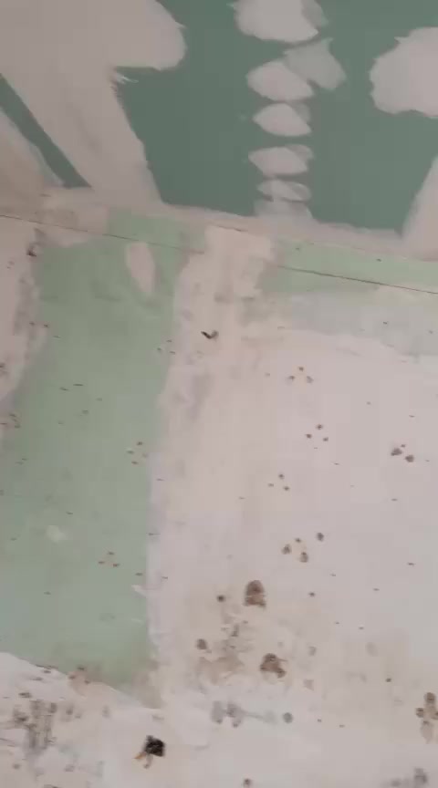 السلام عليكم نشتغل كافة الأعمال صبغ ديكورات خارجية وداخليه ترميم منازل حسب الطلب للتواصل واتساب *********** بالنقد والتقسيط
