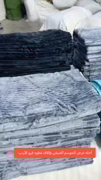 غطوة نفرين • فرو الأرنب • المحمودية سوق الذهب