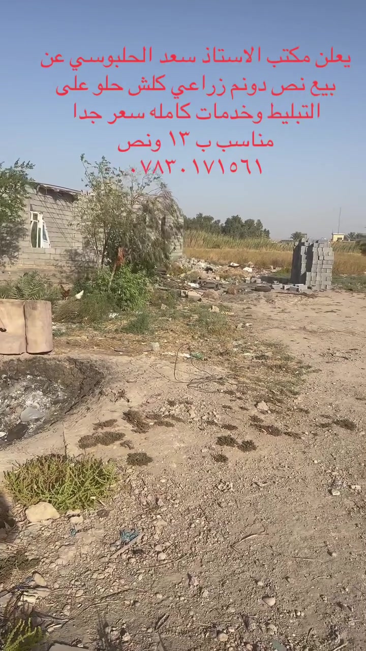 بغداد التاجي سبع البور
***********
