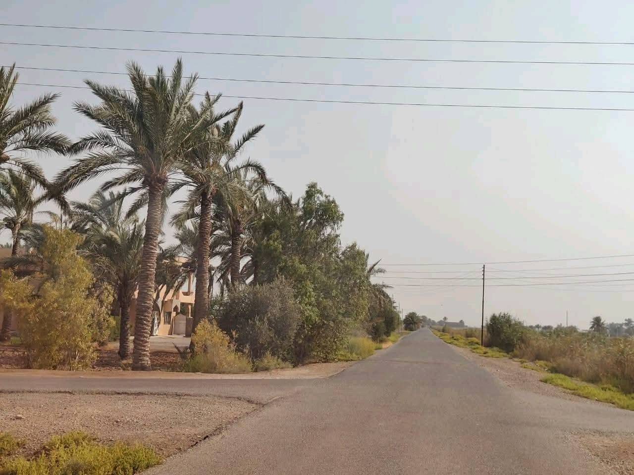 كاع 28 دونم 891 واك
وجه 167متر نزال 174متر تحتوي على 4 بيوت واجه على نهر روائي 
وخلف الأرض اكو نهر ماء حلو بيها 250 نخله وكافة الخدمات تبعد عن طريق بغداد كربلاء كيلو ونص تبليط طابو زراعي سند 25 بسم ابو الكاع نفسه  سعر الدونم 80 مليون  للاستفسار الاتصال على الرقم ***********